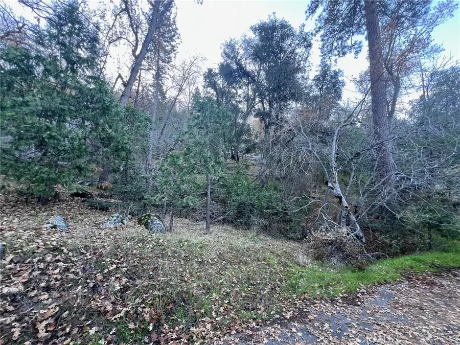 0 Snowy Creek Way, Coarsegold, CA 93614 - Image #3
