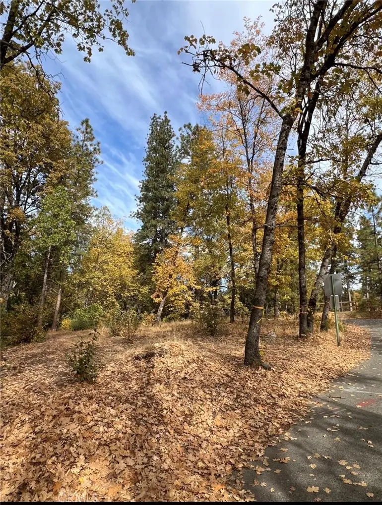 54692 Bluegill, Bass Lake, CA 93604 - #1