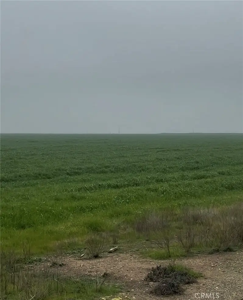 12010 E Childs Avenue, Le Grand, CA 95333 - Image #2