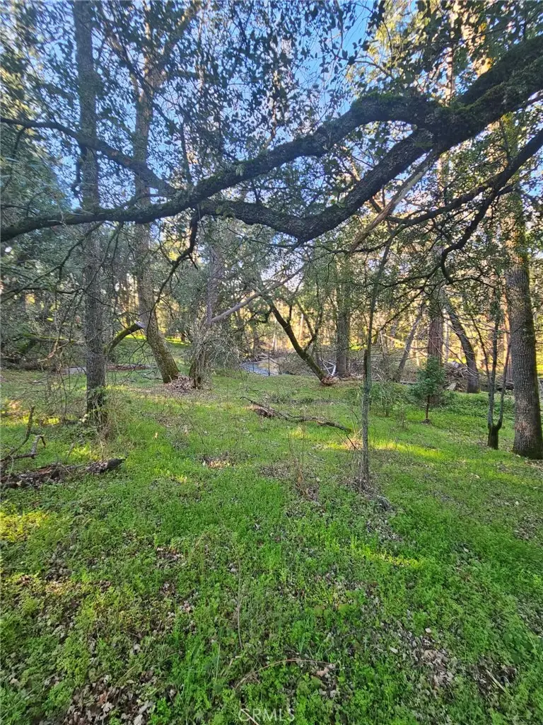 ac Road 225, North Fork, CA 93643 - #2