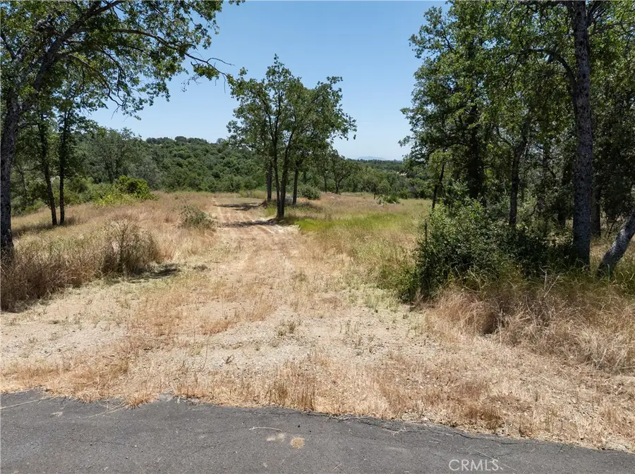 3 Acres Serendipity Lane, Coarsegold, CA 93614 - #2