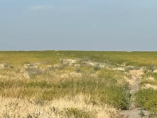 123 Poso Canal, Corcoran, CA 93212