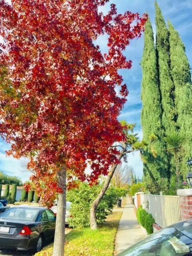 2202 Paso Real Avenue, Rowland Heights, CA 91748 - #2