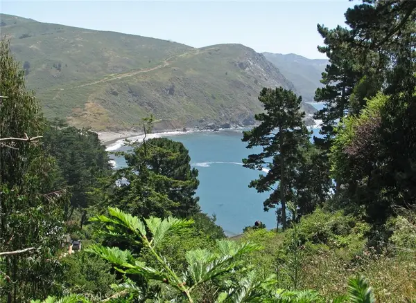 47 Charlottes Way, Sausalito, CA 94965