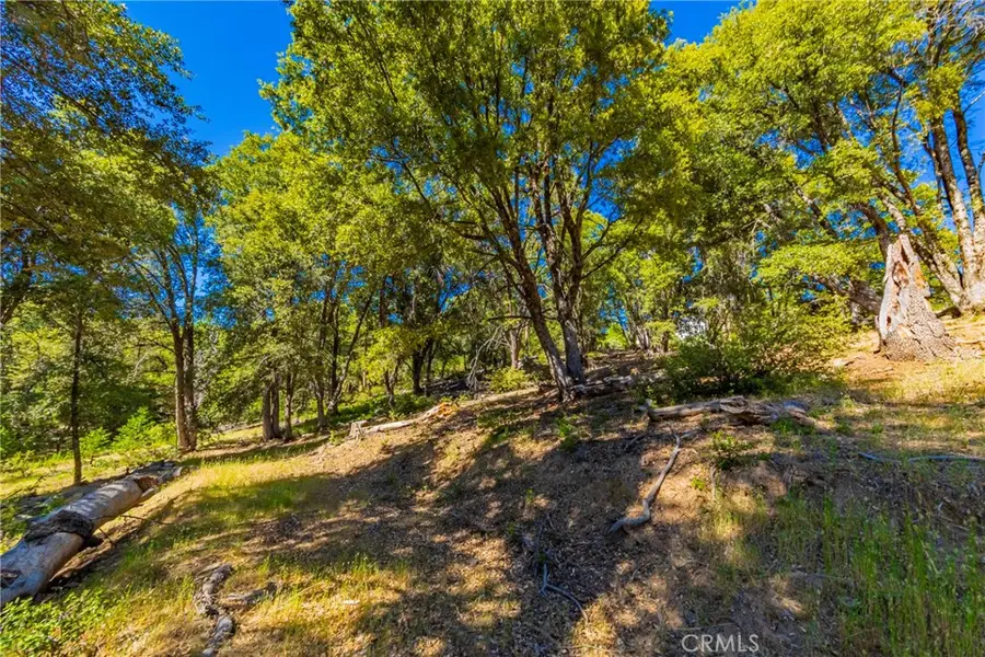 0 3 Springs Road, Oakhurst, CA 93644 - #3