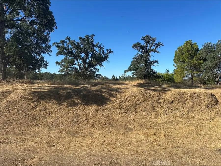 0 Revis Way, Coarsegold, CA 93614 - #2
