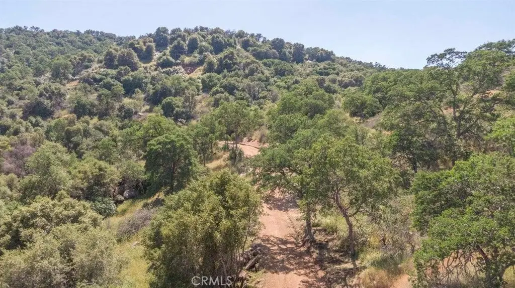 0 Ruth Hill Rd, Squaw Valley, CA 93675 - #1