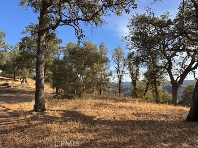 5 Martin Road, Mariposa, CA 95338 - #2