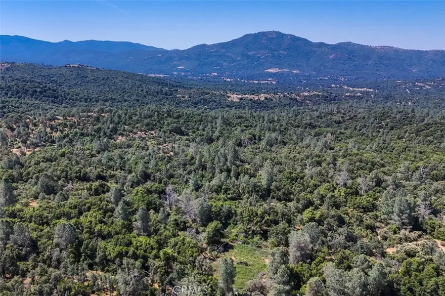 47850 Road 620, Oakhurst, CA 93644 - #2