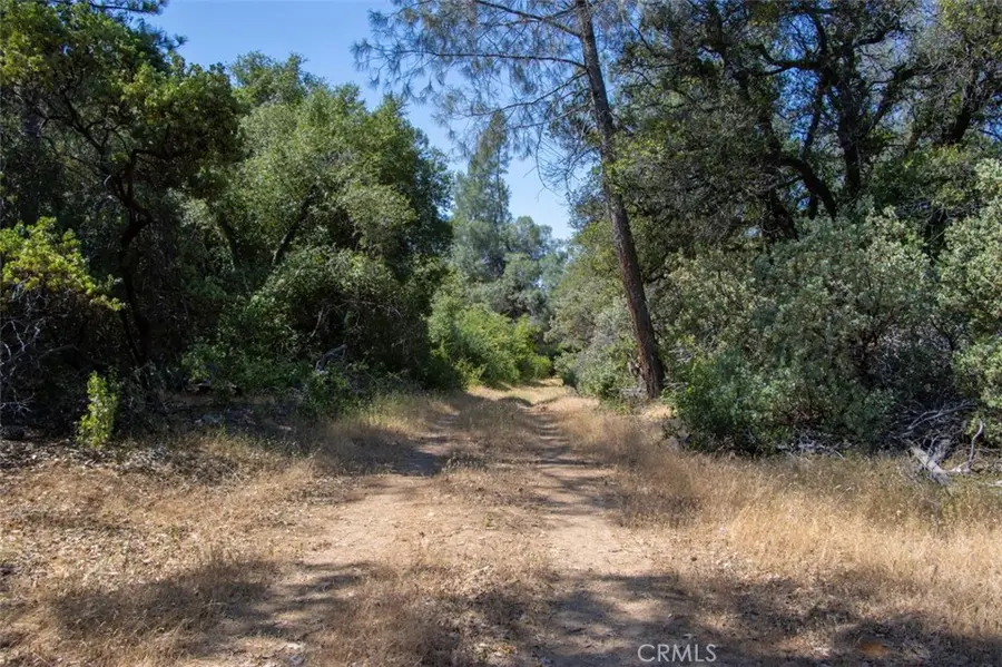 47850 Road 620, Oakhurst, CA 93644 - #3