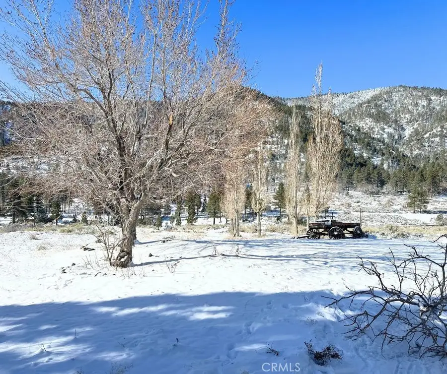 26601 Big Pines, Wrightwood, CA 92397 - Image #3