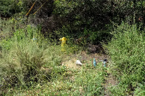 7451 Verdugo Crestline, Tujunga, CA 91042