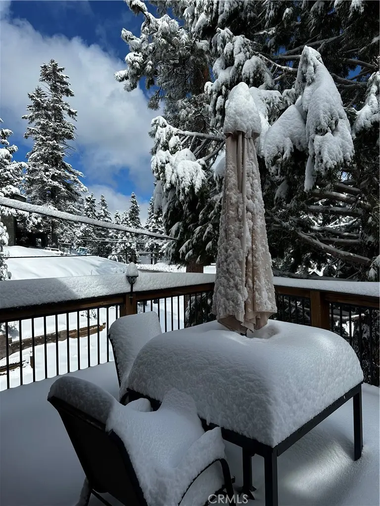 43433 Primrose Court, Big Bear Lake, CA 92315 - #3