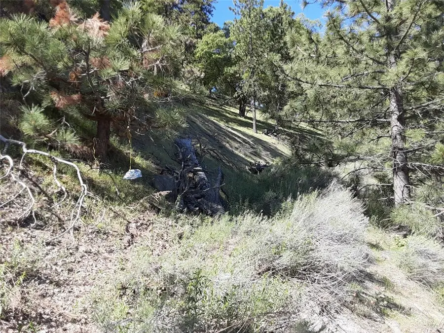 0 Interlaken, Tehachapi, CA 93581 - #3