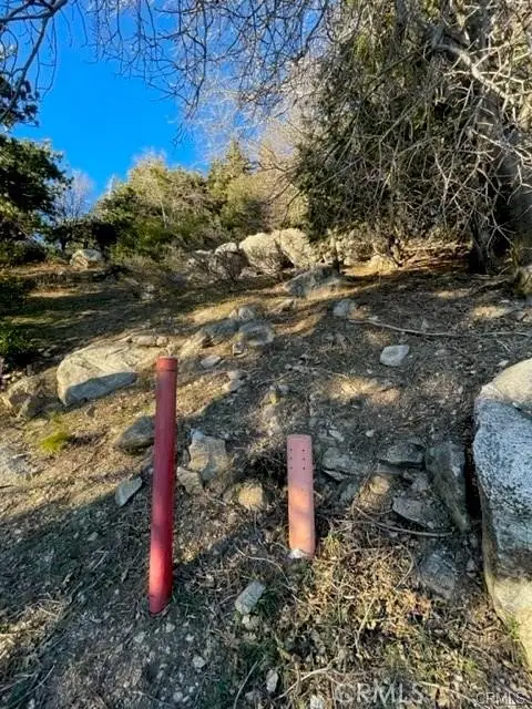 0 Peak Circle, Cedarpines Park, CA 92322 - Image #2