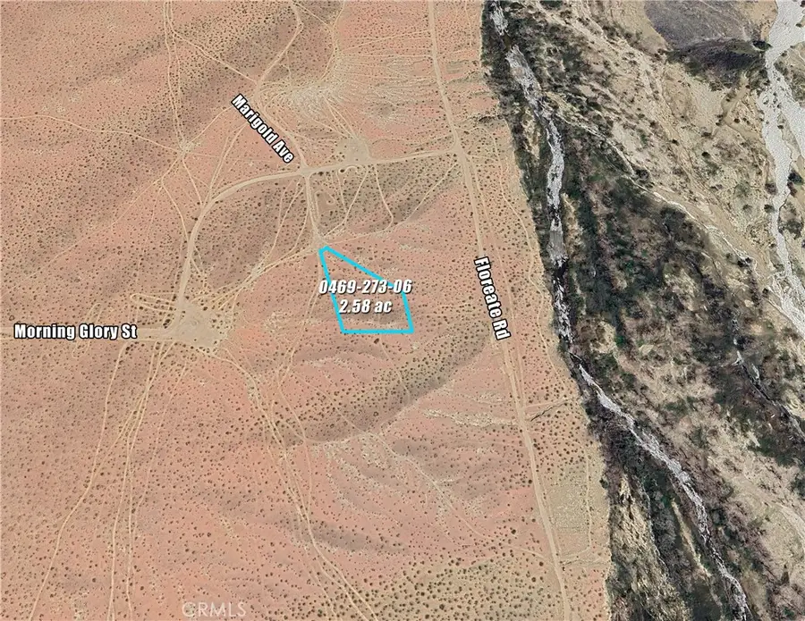 0 Marigold Avenue, Oro Grande, CA 92368 - #2
