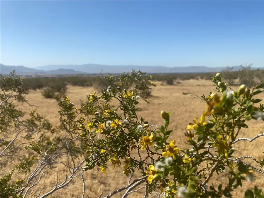 1 Falchion Road, Apple Valley, CA 92307 - Image #2