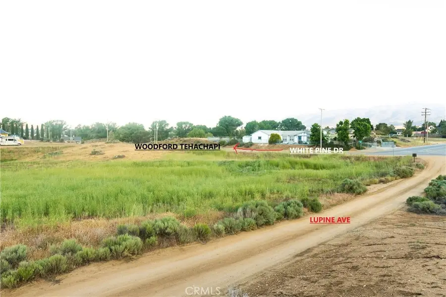 219 Lot Lupine, Tehachapi, CA 93561 - Image #2