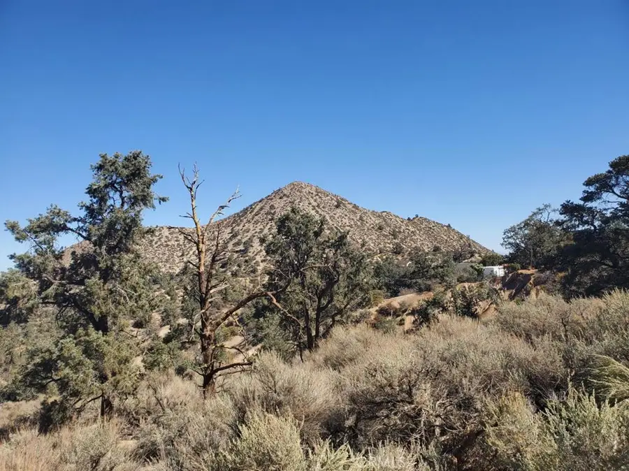 0 Old Valley Springs Road, Pearblossom, CA 92372 - Image #2