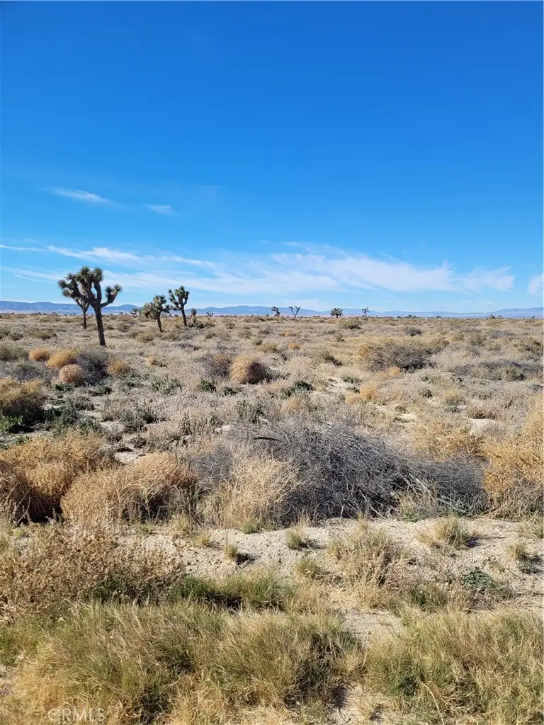 0 20th Street E, Lancaster, CA 93535 - #3