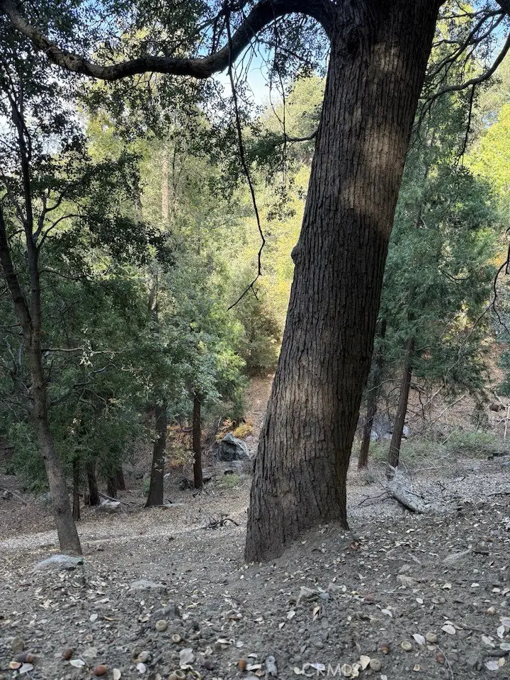 0 Mojave River Road, Cedarpines Park, CA 92322 - Image #2