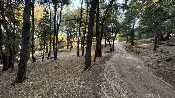 722 Mojave River Road, Cedarpines Park, CA 92322