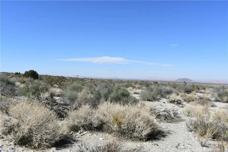 0 Vac/fort Tejon Drt /ave Y8, Llano, CA 93544 - #3