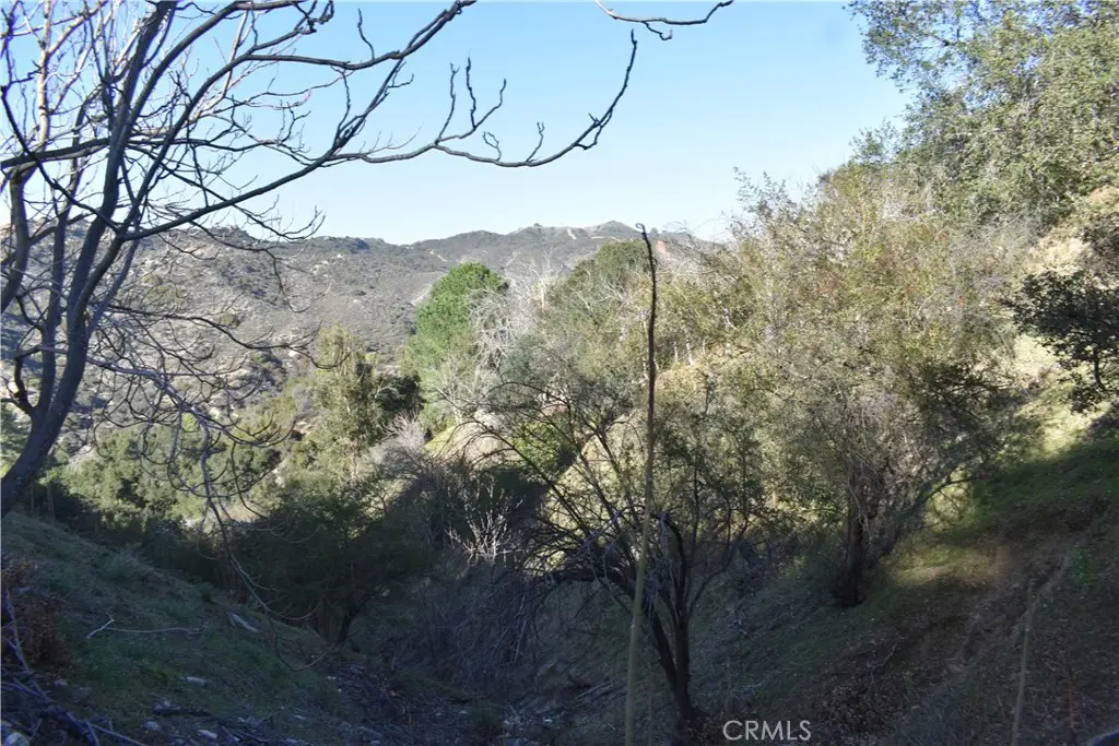 29935 Hickory Dr, Cedar Glen, CA 92321 - #1