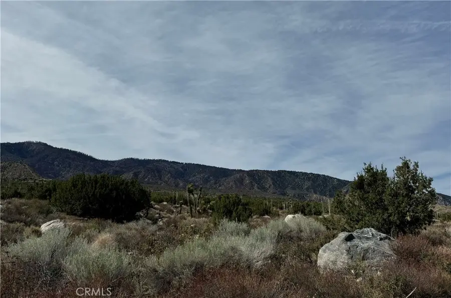 0 E Avenue Z, Llano, CA 93544 - Image #3