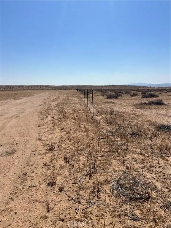 1 N Buckthorne Road, Helendale, CA 92342 - #3