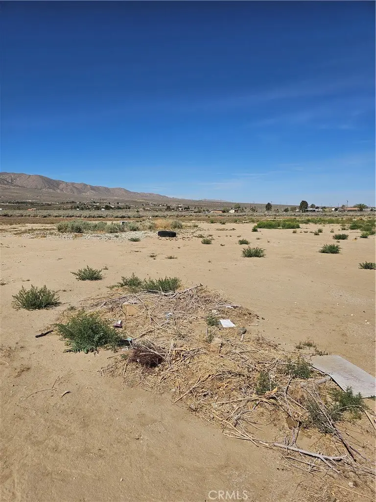 9984 Alamo Avenue, Lucerne Valley, CA 92356 - #2