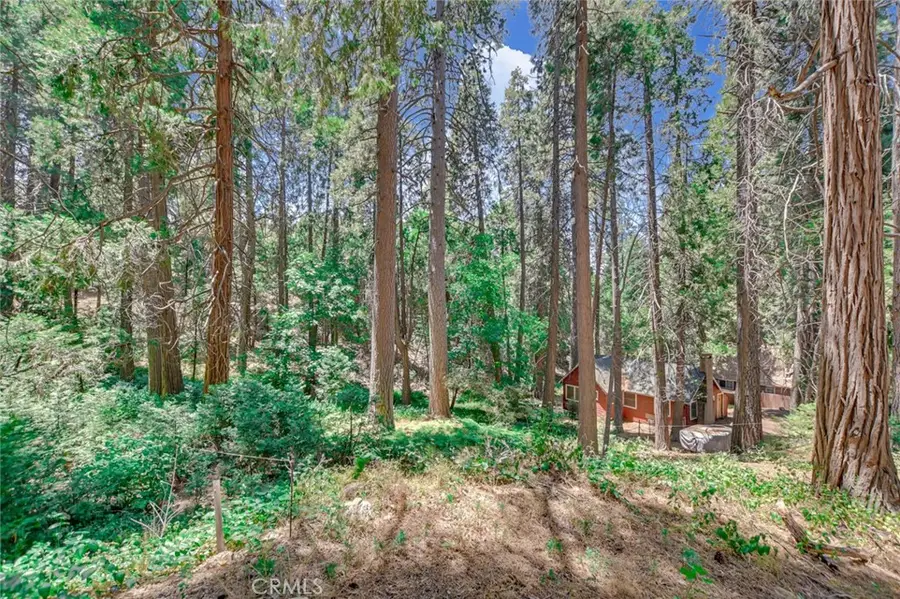 590 Electra Drive, Crestline, CA 92325 - #2