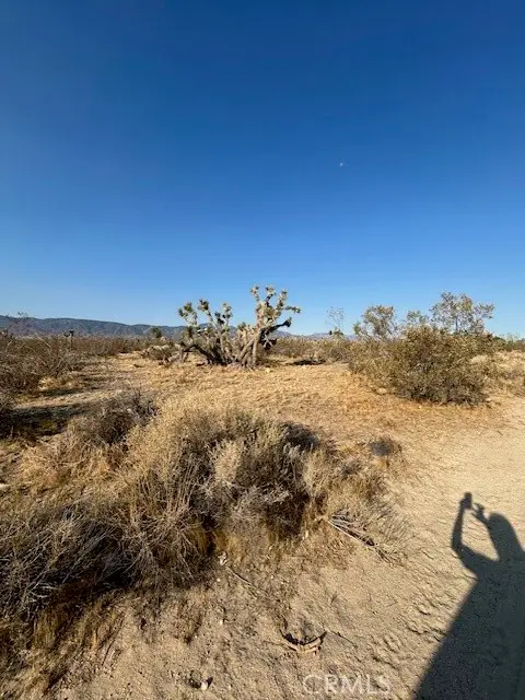 #2