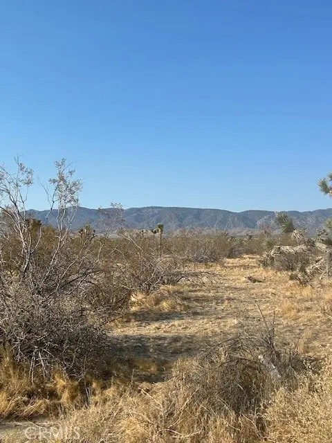 #3