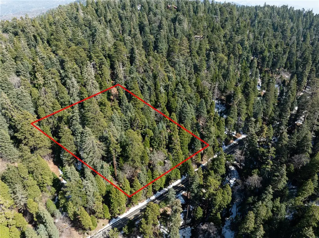 29629 Little Bear Creek Road, Cedar Glen, CA 92321 - #1