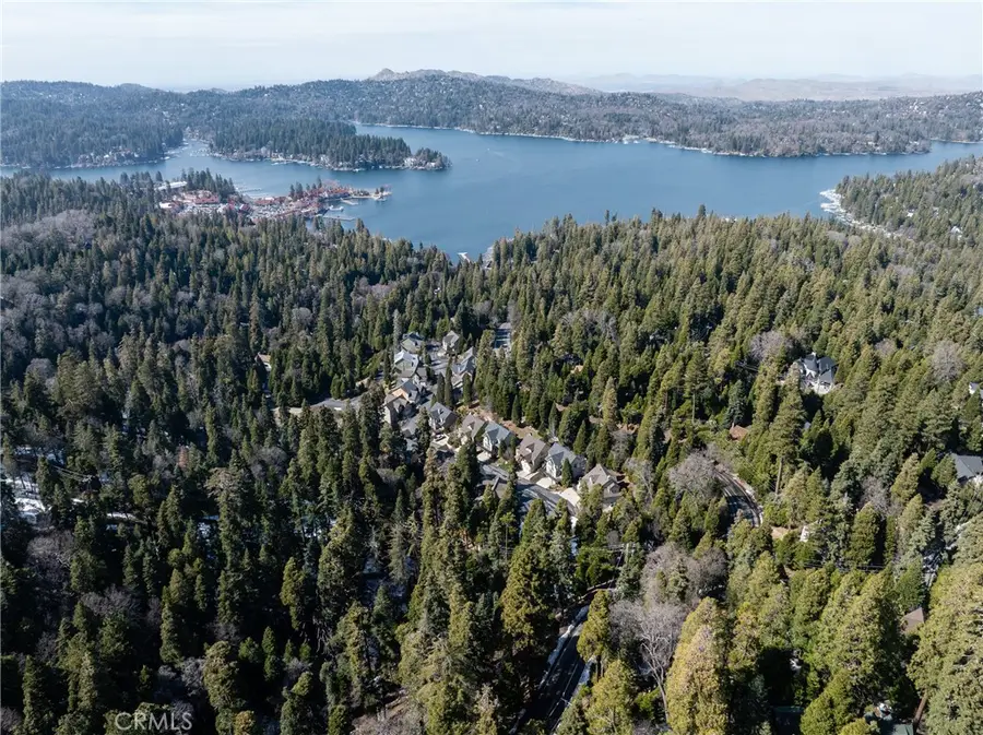 29629 Little Bear Creek Road, Cedar Glen, CA 92321 - #2