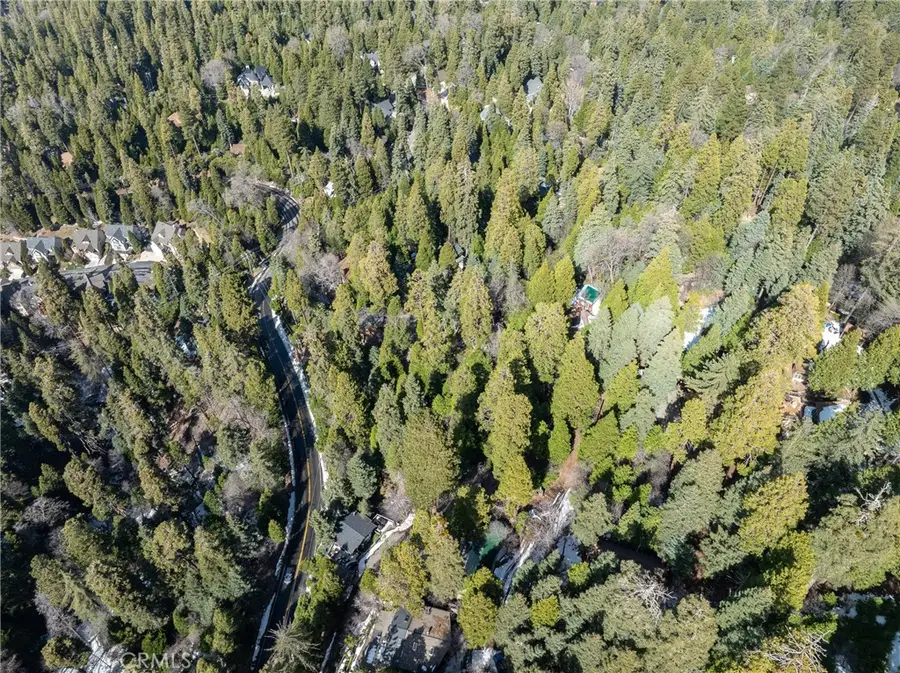 29629 Little Bear Creek Road, Cedar Glen, CA 92321 - #3