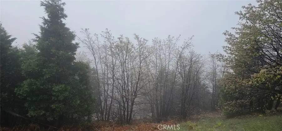 0 Bridal, Rimforest, CA 92378 - #2