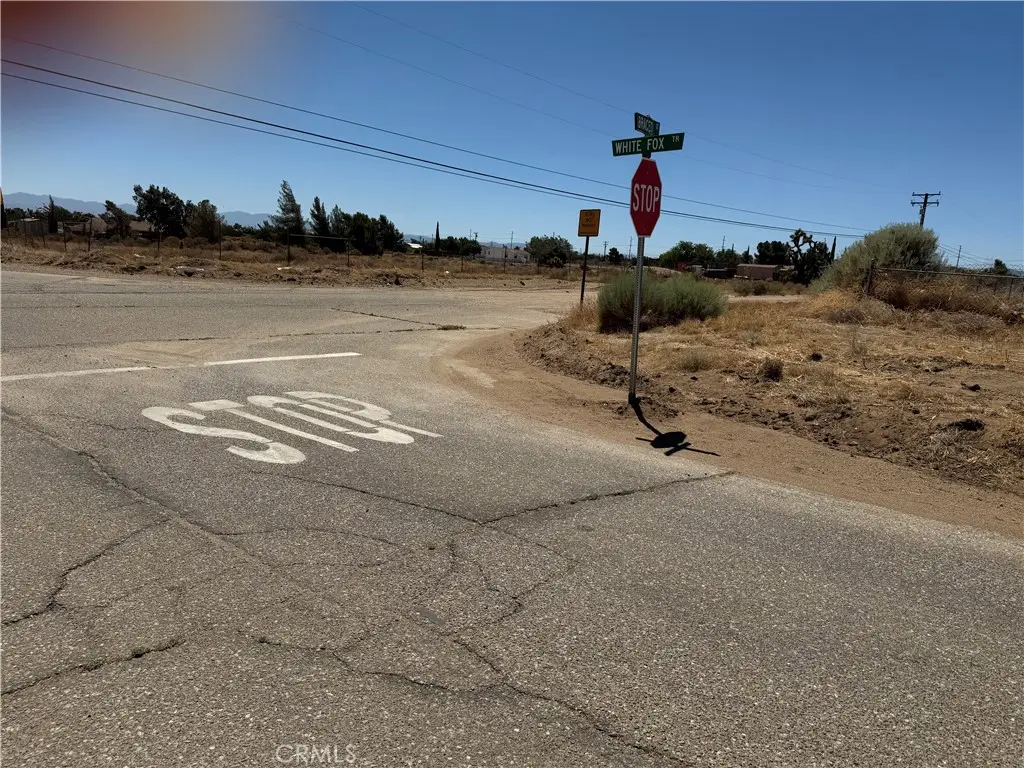 9875 Braceo Street, Oak Hills, CA 92344 - #1