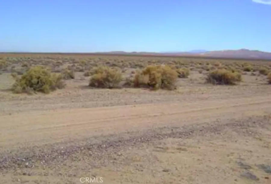 1 Shelby Road, Helendale, CA 92342 - #2