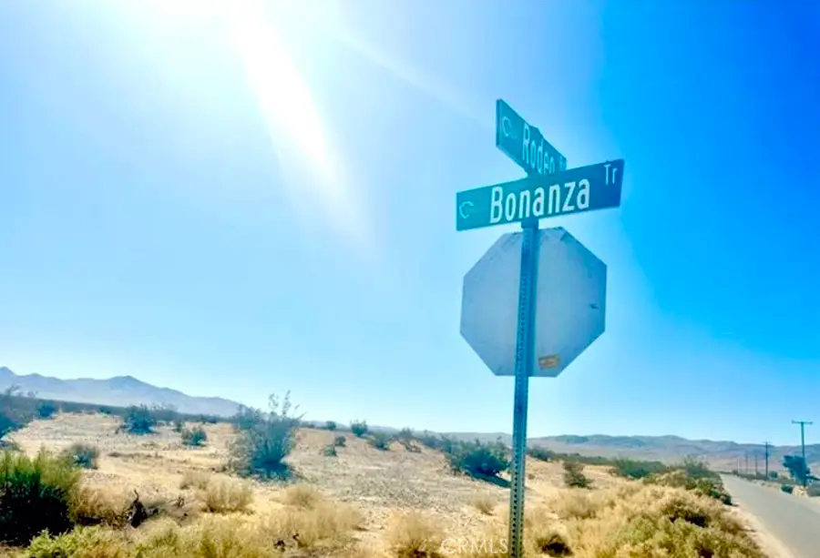 28032 Rodeo, Helendale, CA 92342 - Image #2