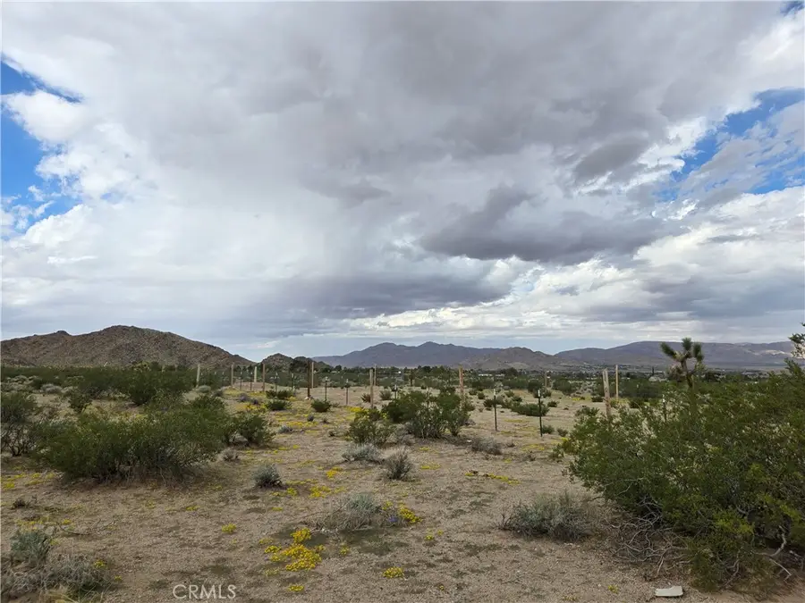 9036 Briar, Lucerne Valley, CA 92356 - #3