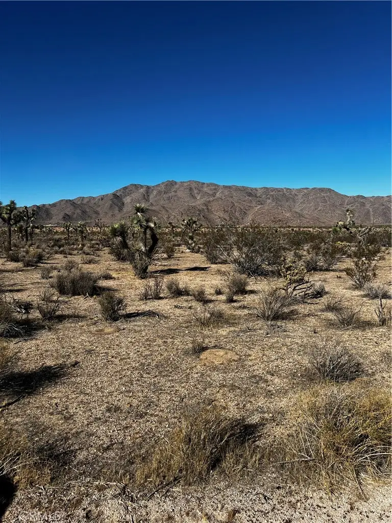 0 Canyon View Road, Lucerne Valley, CA 92356 - #1