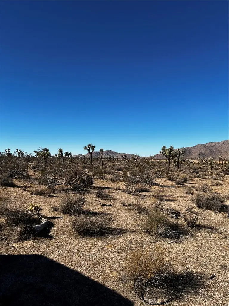 0 Canyon View Road, Lucerne Valley, CA 92356 - #3