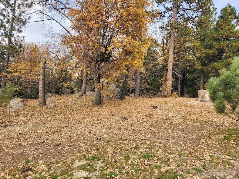 32240 Whisper, Running Springs, CA 92382 - #3