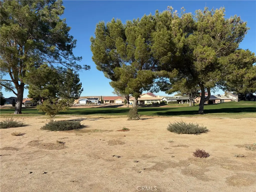15114 Blue Grass, Helendale, CA 92342 - #1