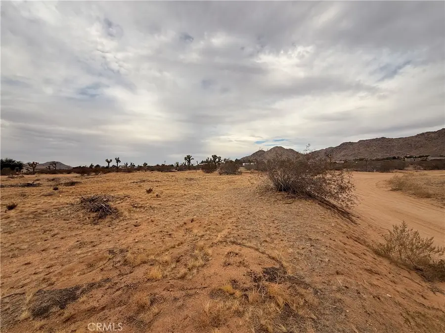 16252 Olema Road, Apple Valley, CA 92307 - Image #3