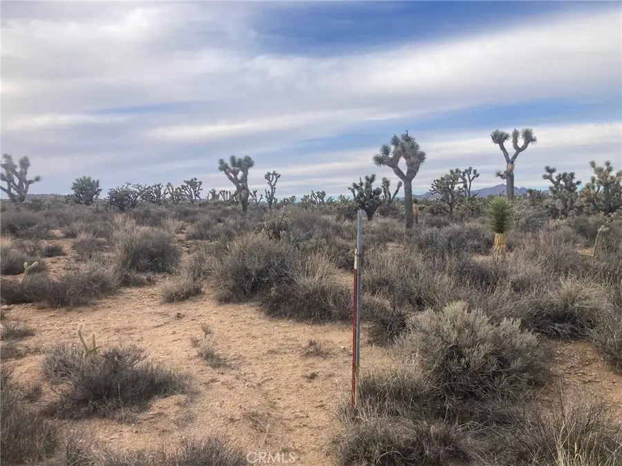 0 Cedar Canyon, Essex, CA 92332 - #3