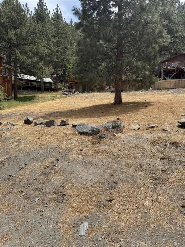 999 Buckthorn Road, Wrightwood, CA 92397