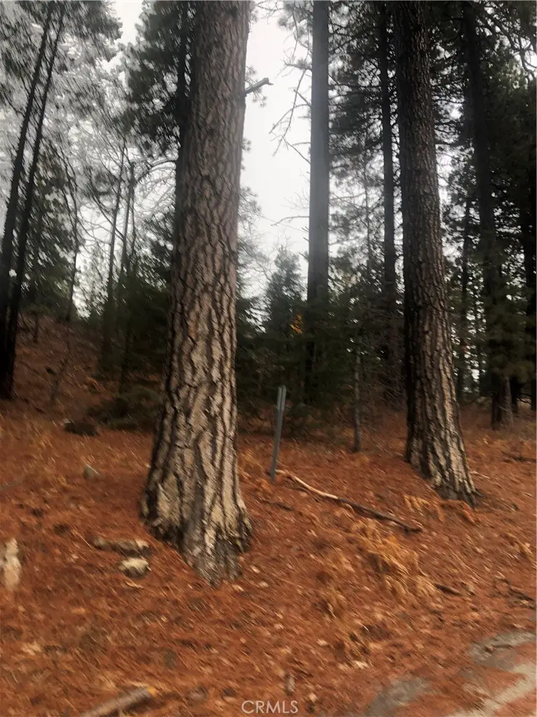 0 Loma, Running Springs, CA 92382 - #2